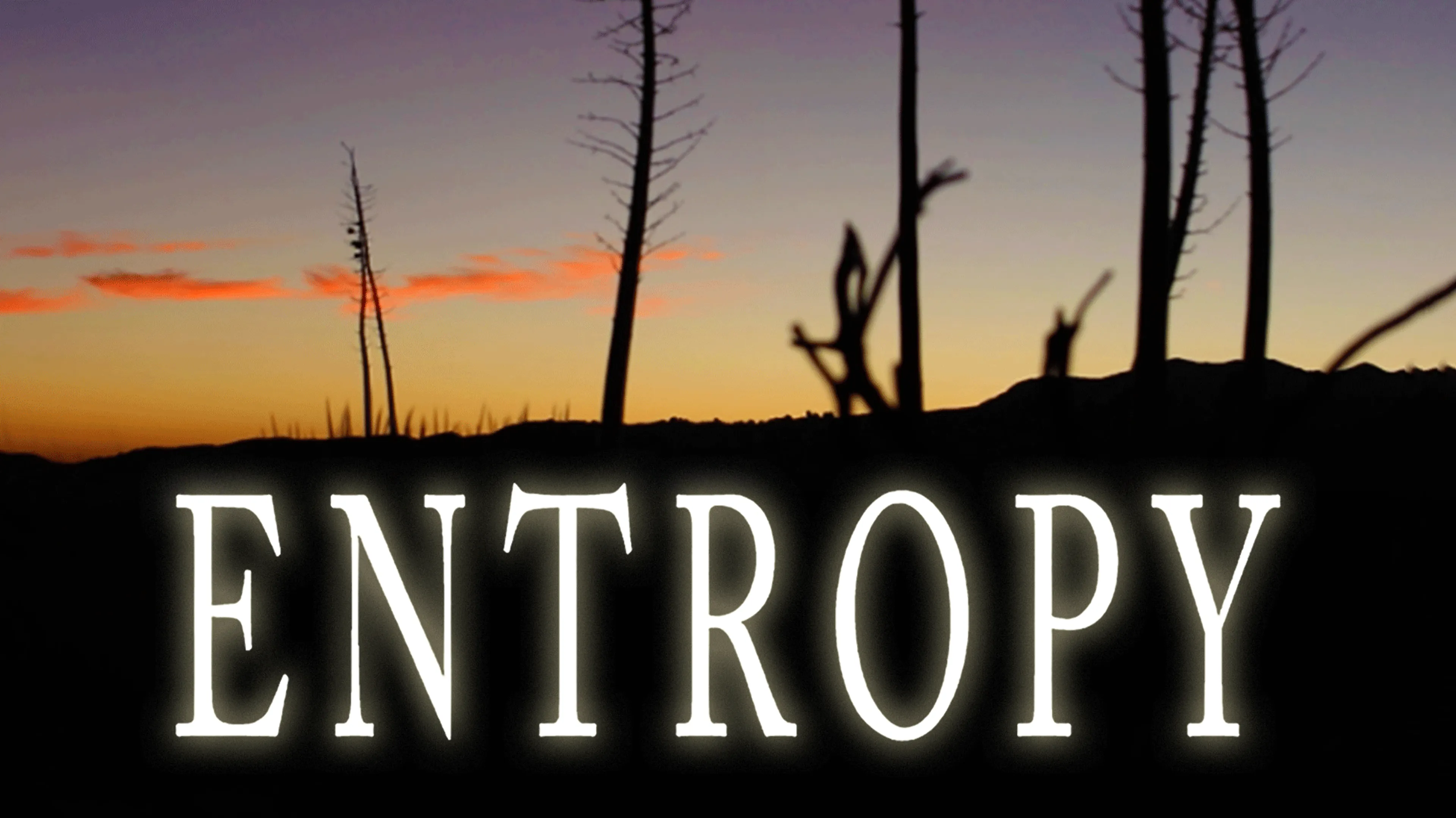 Our1Planet Presents: Entropy poster